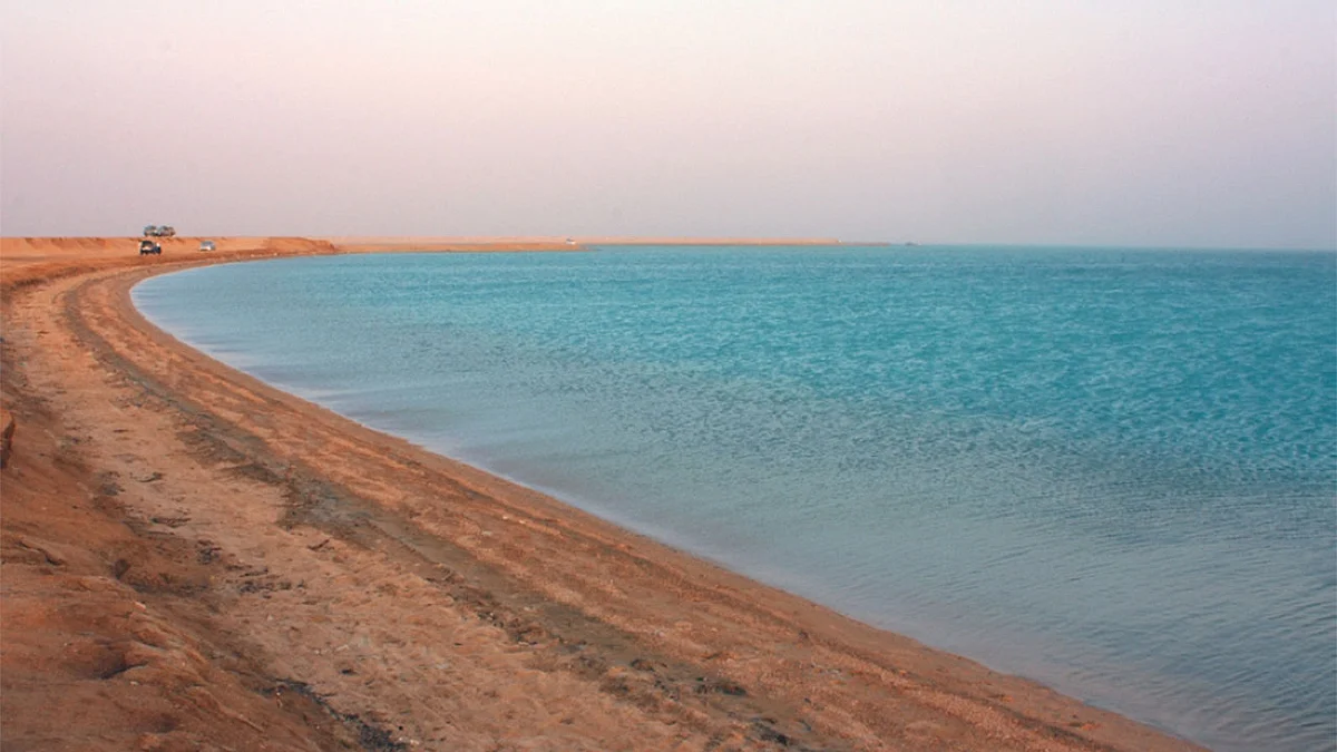 طقس الأحد.. غبار وأتربة وسحب رعدية ممطرة على عدة مناطق