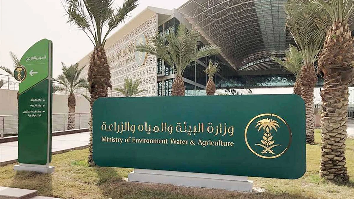 «الزراعة»: 10 خطوات لطلب ترخيص استيراد الخضراوات والفواكه