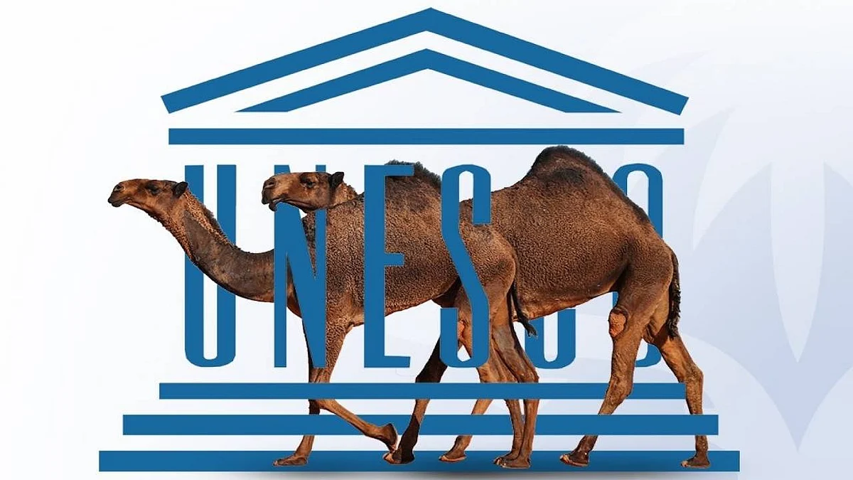 بن حثلين يكشف الدافع الأساسي لتأسيس المنظمة الدولية للإبل