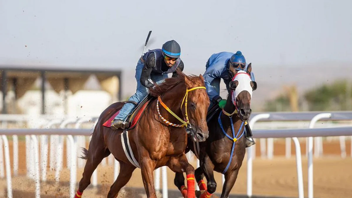 «سباق الخيل» يسدل الستار عن المرحلة الأولى من «مصيف الطائف»