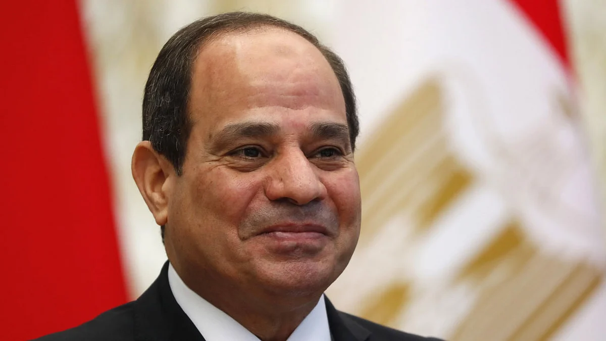 السيسي يتدخل لمتابعة الحالة الصحية للفنانة ياسمين عبد العزيز