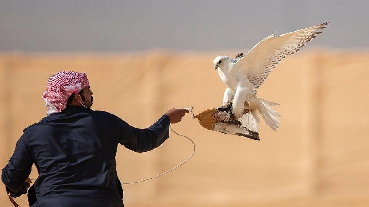 لأول مرة بالمملكة.. المزاد الدولي لمزارع إنتاج الصقور ينطلق غدًا