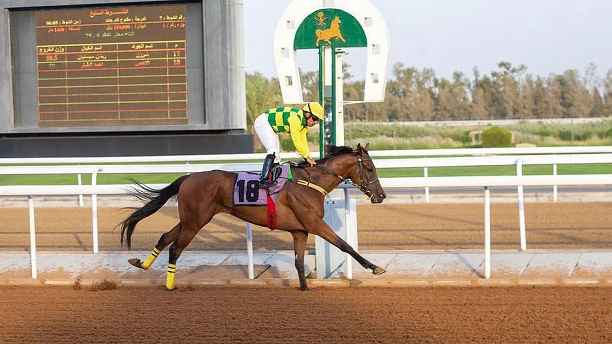 «سباقات الخيل» يقيم حفله الـ13 ضمن موسم المصيف بالطائف