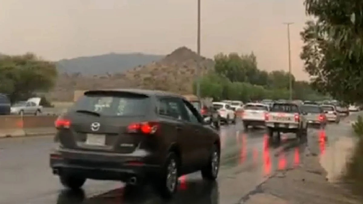 مقطع يوثق هطول أمطار الخير على الشفا بمكة.. لوحة بديعة تكسو الطرق