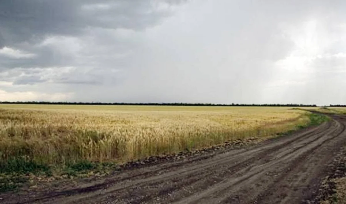 Food price spike direct consequence of Russia's war — NATO chief