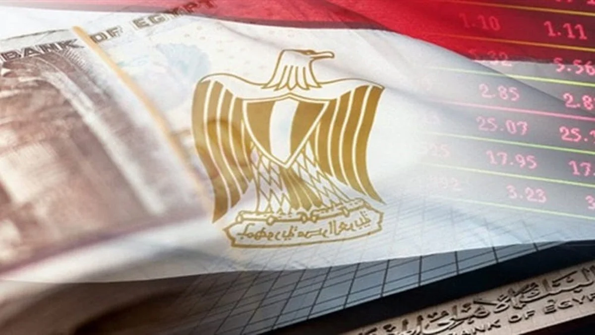 Egypt's economy seen growing 5.5 pct in year to end of June