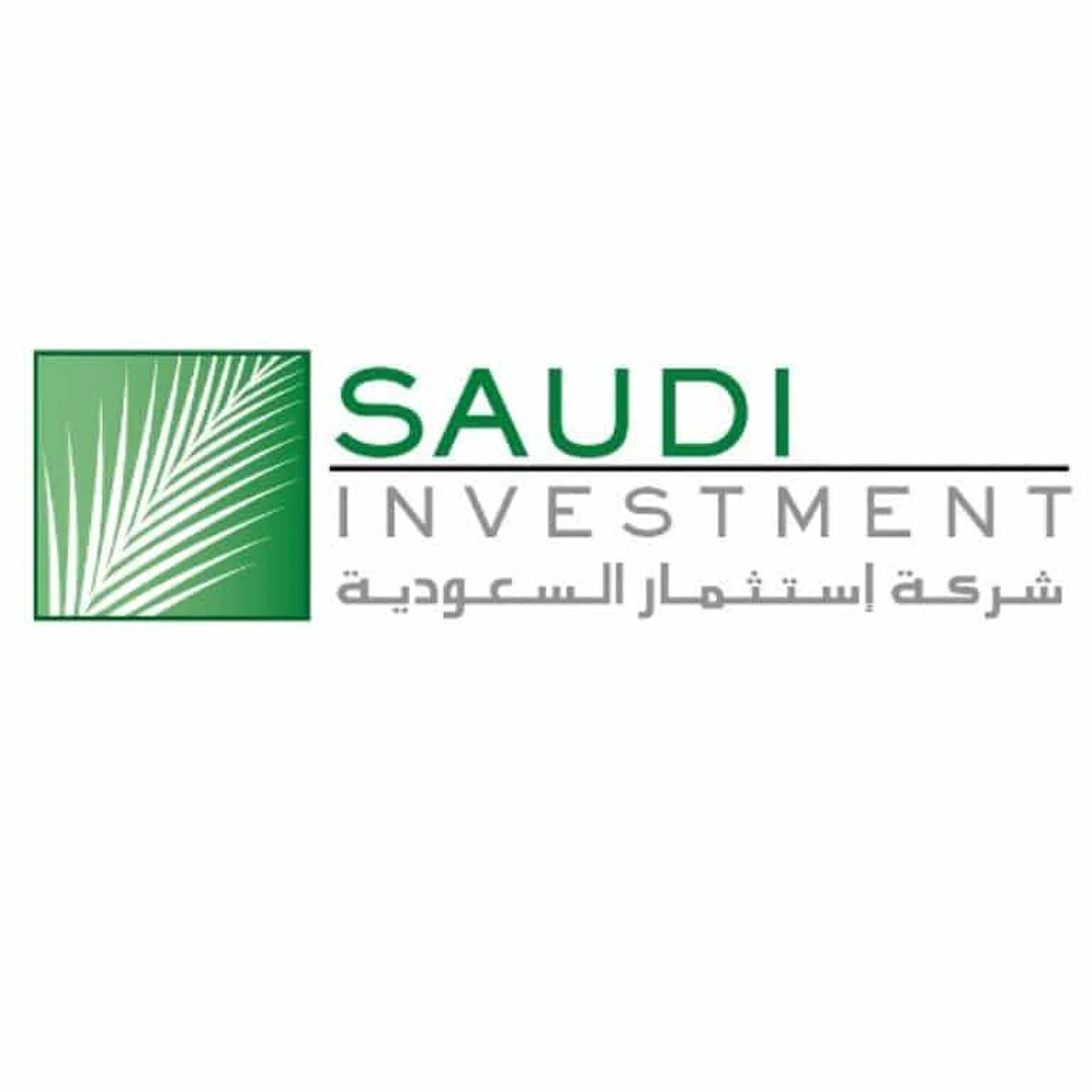 Saudi Investment