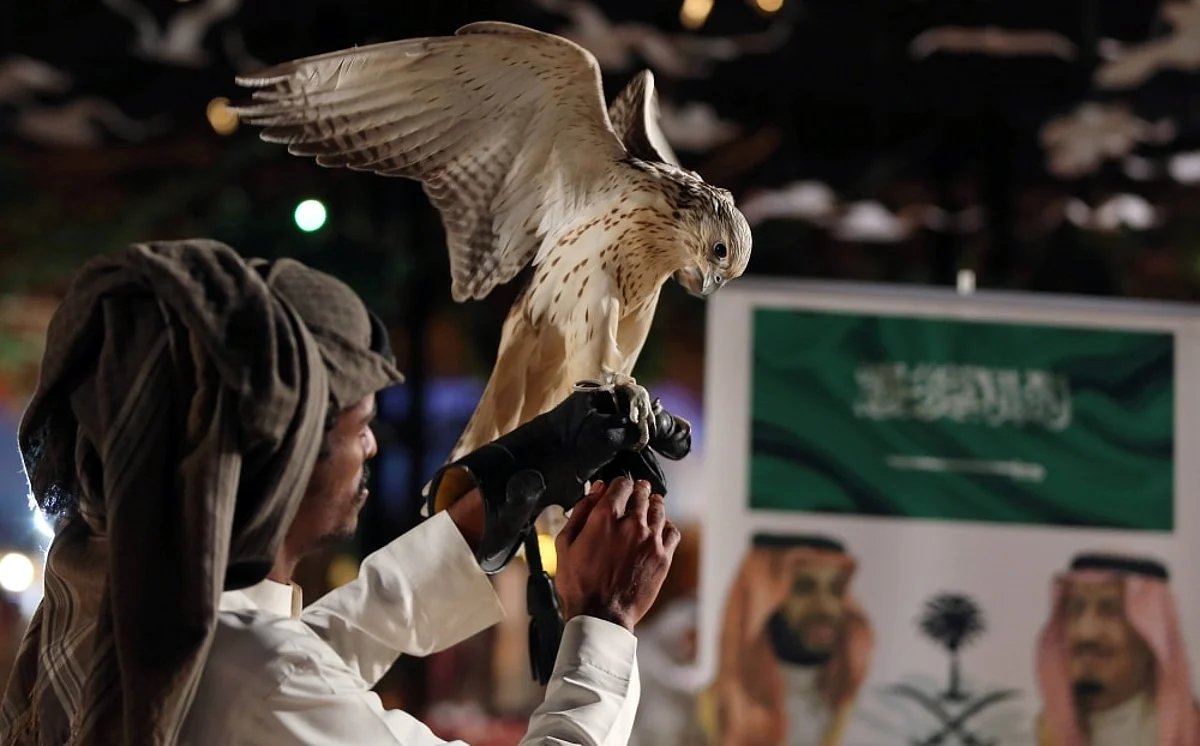 Falcon