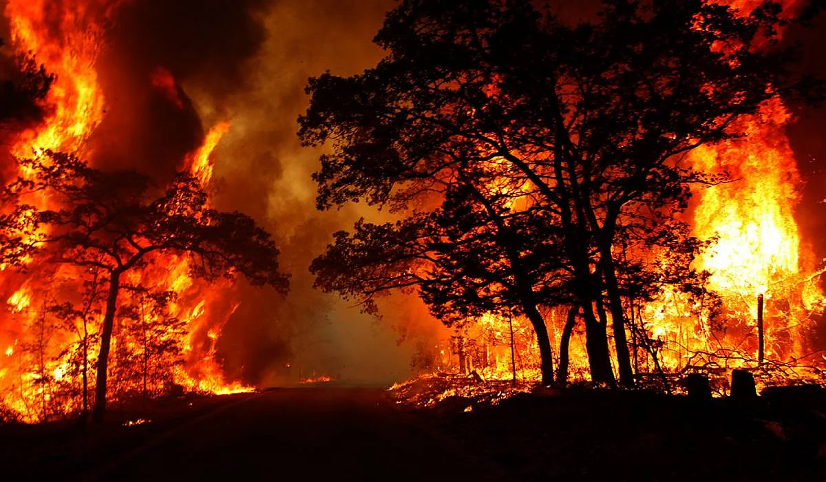 Indonesia sends thousands of security personnel to combat forest fires