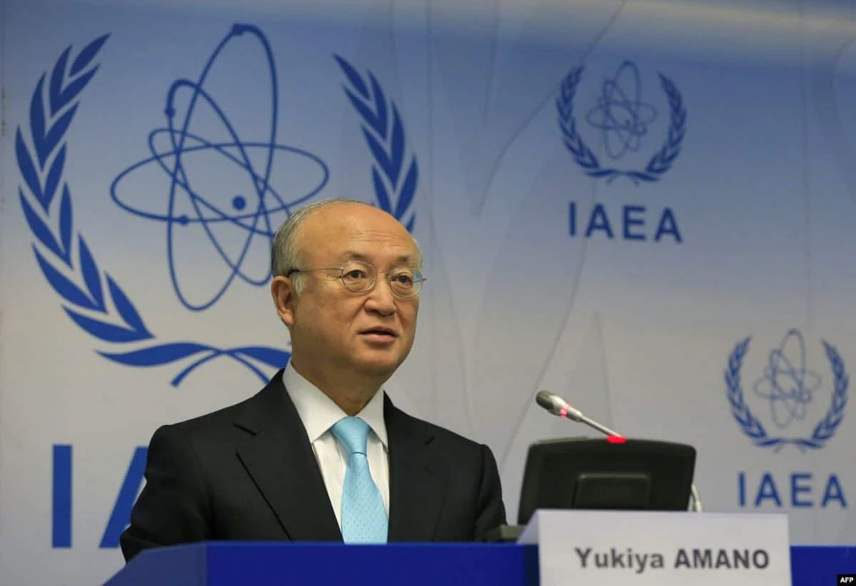 U.N. nuclear watchdog's chief plans to step down early -diplomats