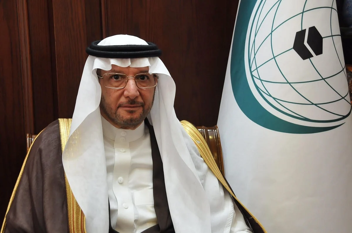 OIC Secretary General Meets Nigerian Permanent Representative to UN