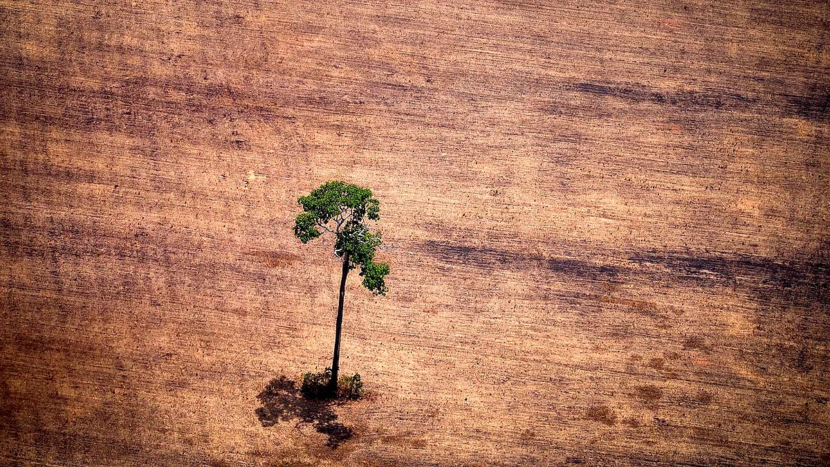 Deforestation in Brazil's Amazon jumped for the fifth straight month in September compared with last year, with destruction up 93% in the first nine months of the year, according to preliminary government data published on Friday.
Destruction of the world's largest tropical rainforest totaled 7,854 square kilometers (3,032 square miles) for January to September, according to the country's space research agency INPE. That's 10 times the area of New York City.
For September alone, INPE data showed deforestation rose 96% from a year ago, an easing from the more than 200% year-on-year rises recorded in July and August. In terms of area, the month of September accounted for 1,447 square km of forest cleared, down from a peak of 2,255 square km in July.
Researchers and environmentalists blame right-wing President Jair Bolsonaro for emboldening loggers by calling for the Amazon to be developed and for weakening the environmental agency Ibama.
"Deforestation is continuing at a pace that is double that of years past. I think this is because of the messages the president continues to send," said Tasso Azevedo, coordinator for deforestation mapping initiative MapBiomas.
Bolsonaro and Environment Minister Ricardo Salles have said previous governments are the culprits for the rise in deforestation, saying policies including budget cuts at agencies like Ibama were in place well before the new government took office on Jan. 1.
Bolsonaro's office, Salles and the Environment Ministry did not immediately respond to requests for comment.
A rash of fires in August tore through the Amazon at the fastest rate since 2010, provoking a global outcry and leaving world leaders questioning why Brazil was not doing more to protect the rain forest. Separate INPE data released last week showed that the fires receded in September.
Scientists say that the fires are linked to deforestation, with people often clearing the forest of valuable timber and then setting fire to the remains in order to clear the land for ranching or farming.
Deforestation generally peaks in the dry season, which runs from roughly May to September but can vary by several weeks each year. This year, the rainy season is a bit late and just getting underway this month across the region.
That will bring some relief in the short term, but experts are already looking ahead to further deforestation next year.
"The big question now is what will be done to prevent this next year," said Paulo Barreto, a researcher affiliated with the non-governmental organization Imazon.