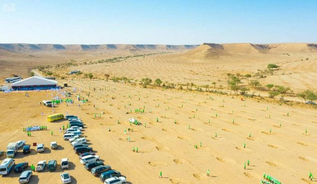 Saudi Arabia to plant 50k trees in afforestation campaign