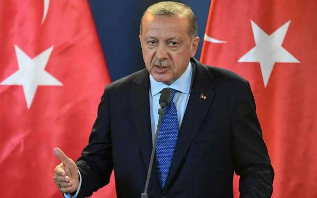 Yemeni Government Condemns Erdogan’s Statements on Operations of Arab Coalition