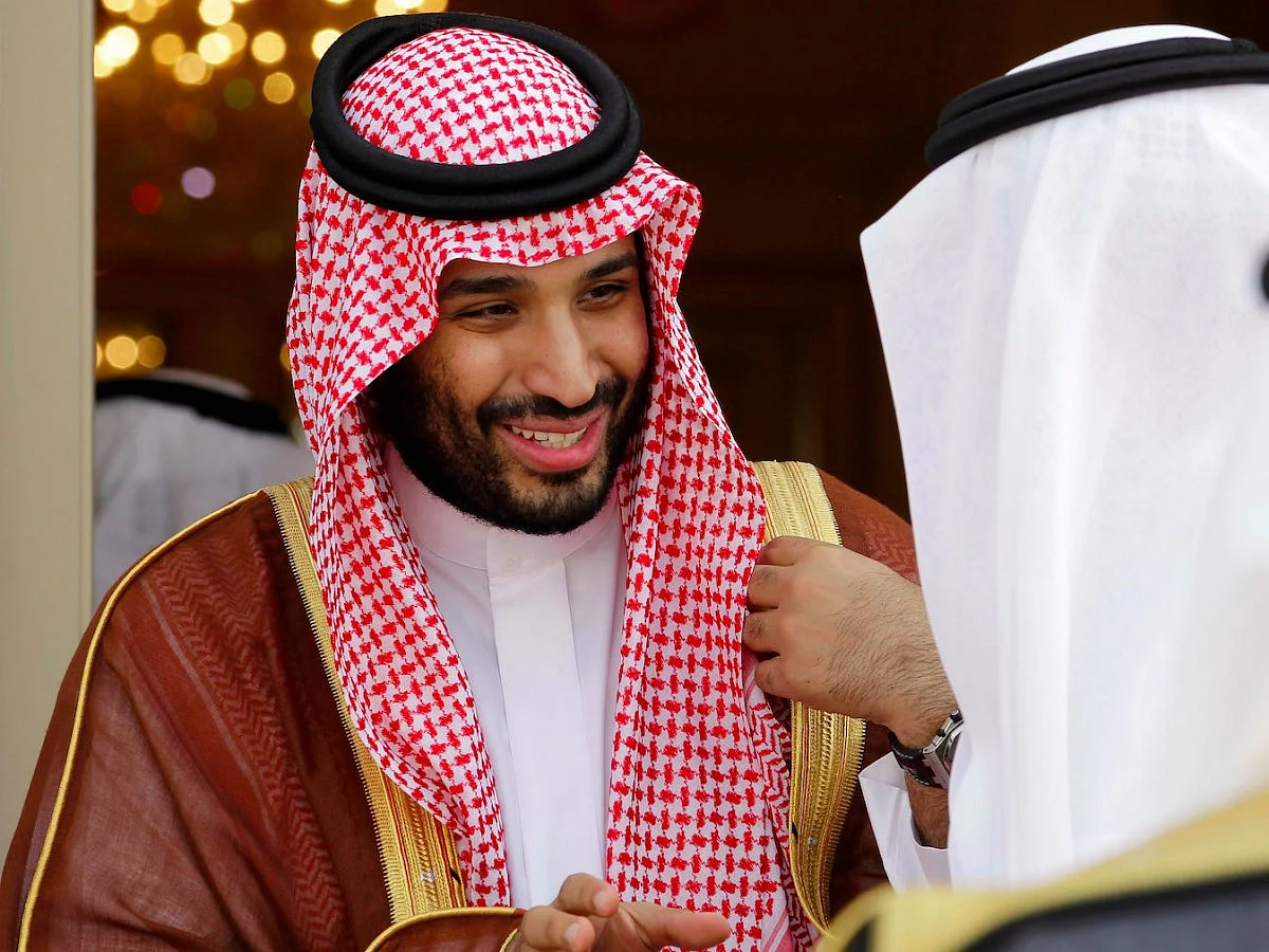 Saudi Arabia Crown Prince Meets Vice-Chair of European Parliament Committee