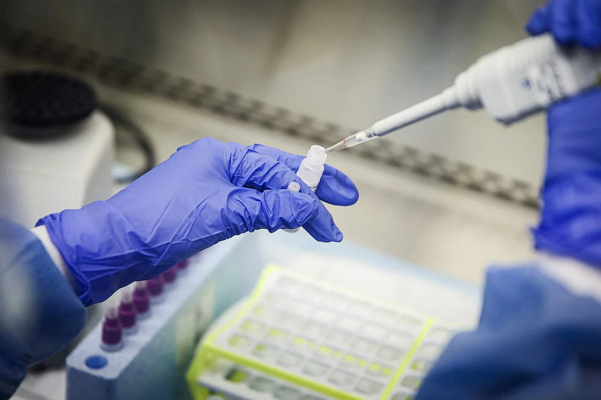 UAE's Ministry of Health and Prevention announce 12 new COVID-19 cases