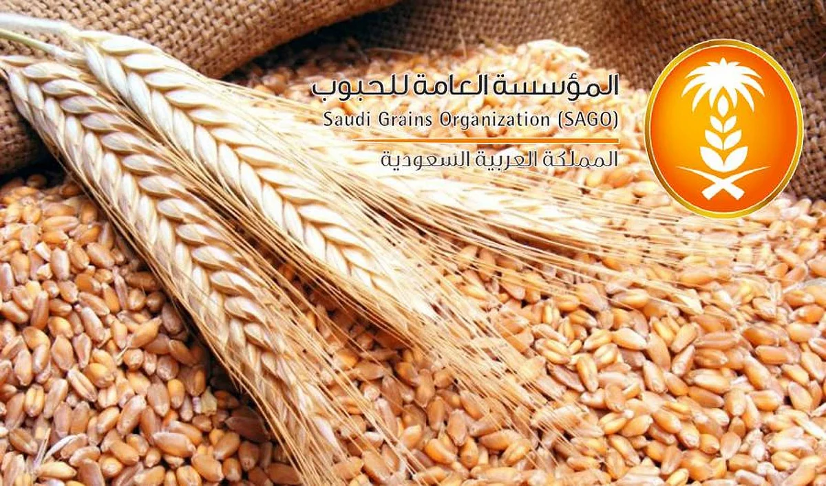 Saudi Grains Organization Completes Procedures to Import 600,000 Tons of Barley
