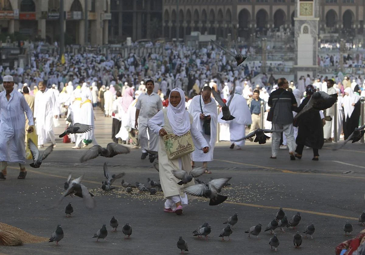 Registration for Hajj begins, 70% will be expats in Saudi Arabia