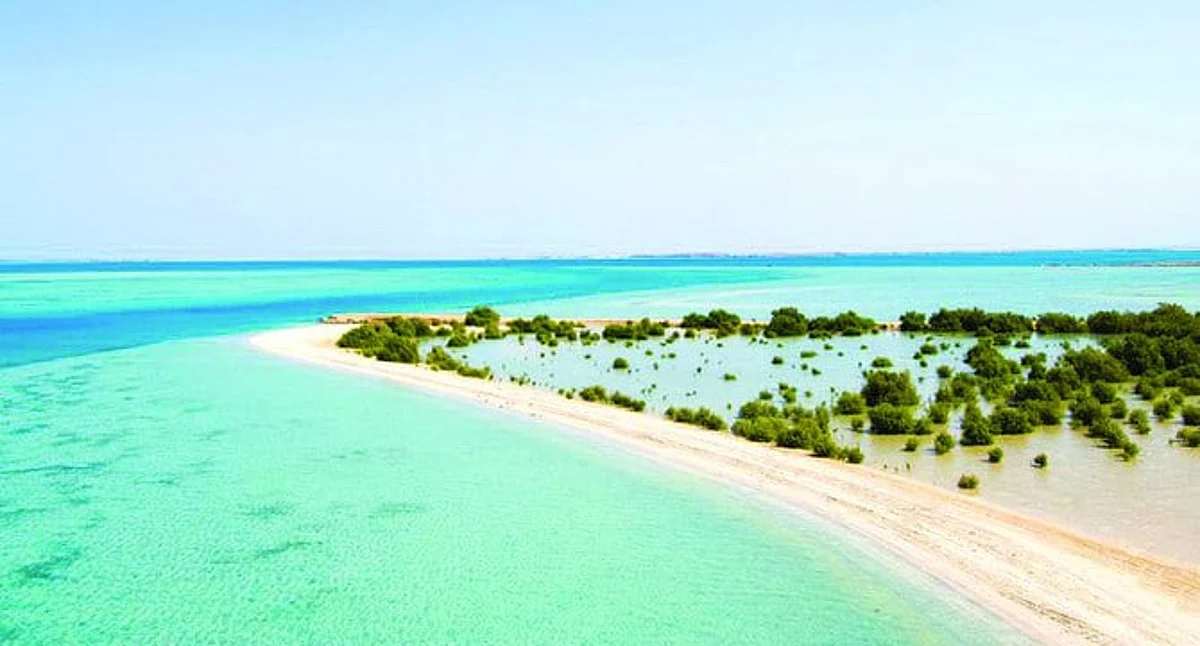 The 286 Farasan Islands are one of the biggest island groups in the southern part of Red Sea.