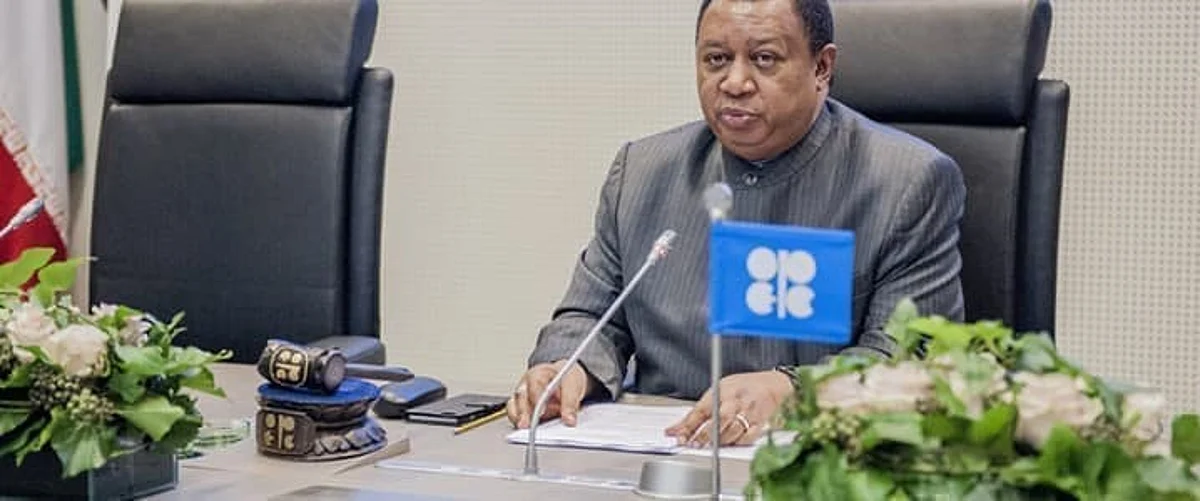 OPEC chief: COVD-19 vaccine injects optimistic outlook to global economy
