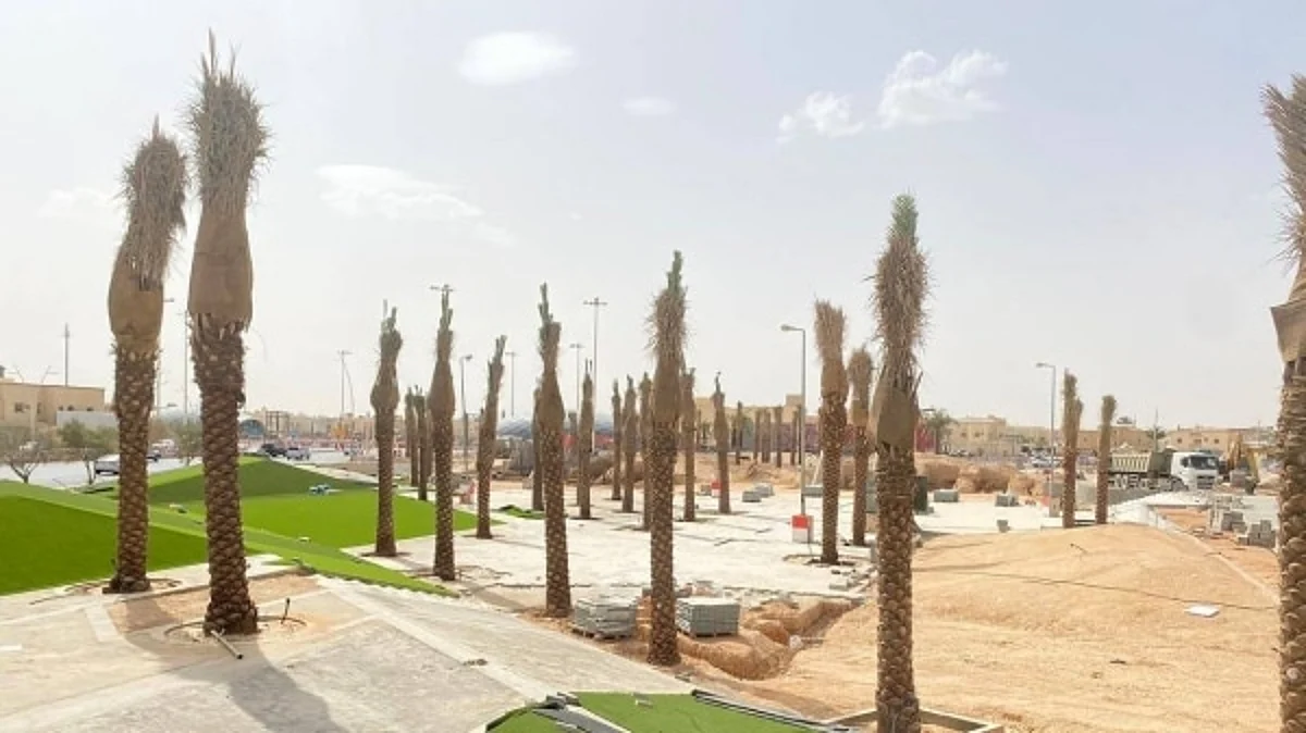 Ban on planting palm trees on roads and parks