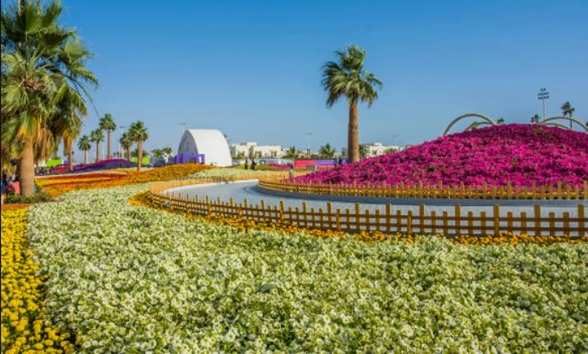 Saudi Arabia enjoys moderate weather on Friday