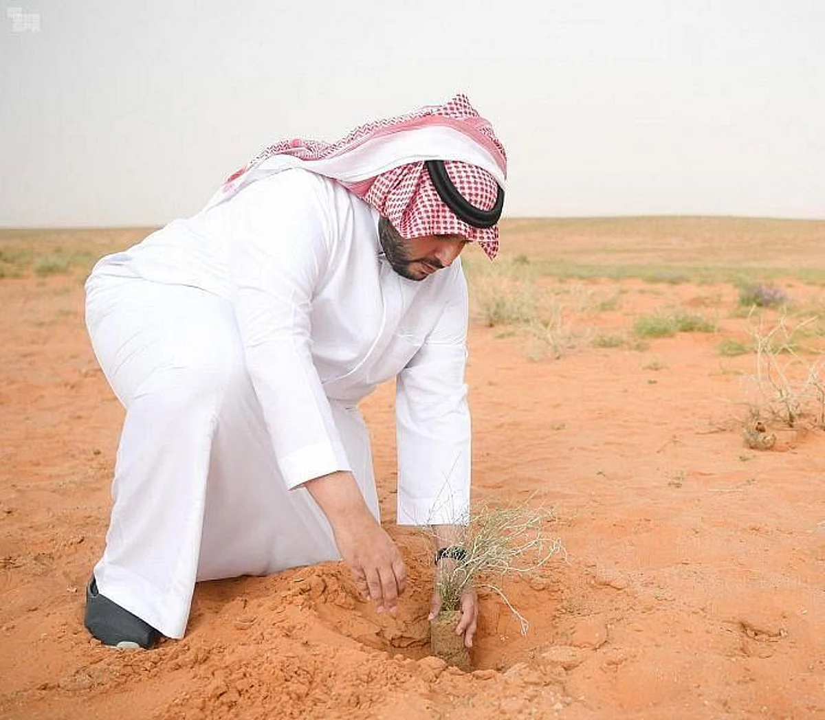 Prince Turki launches number of environmental initiatives
