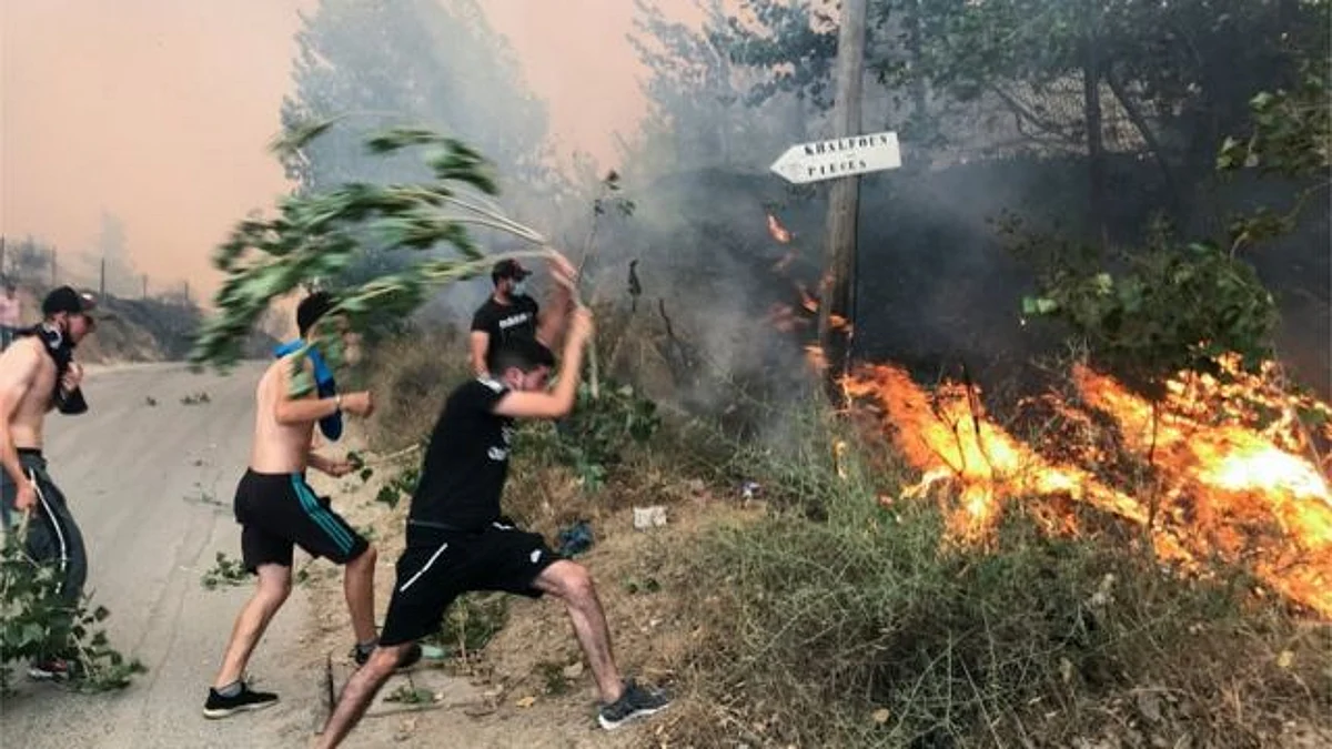 Algeria Mourns More Dead as Firefighters Battle Forest Blazes