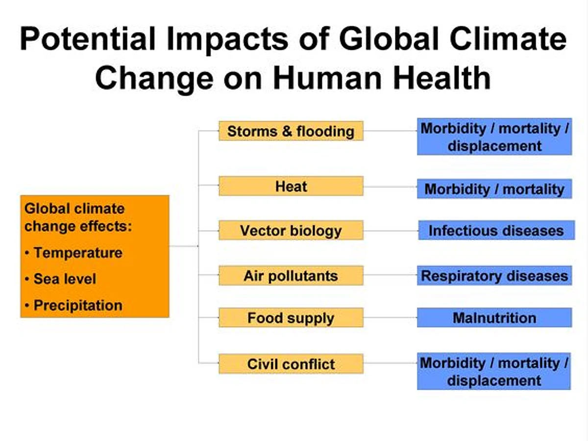 Potential impacts of climate change on health