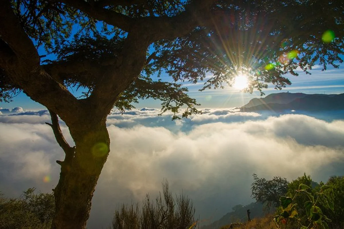 Soudah Development becomes region’s first developer to join Mountain Partnership