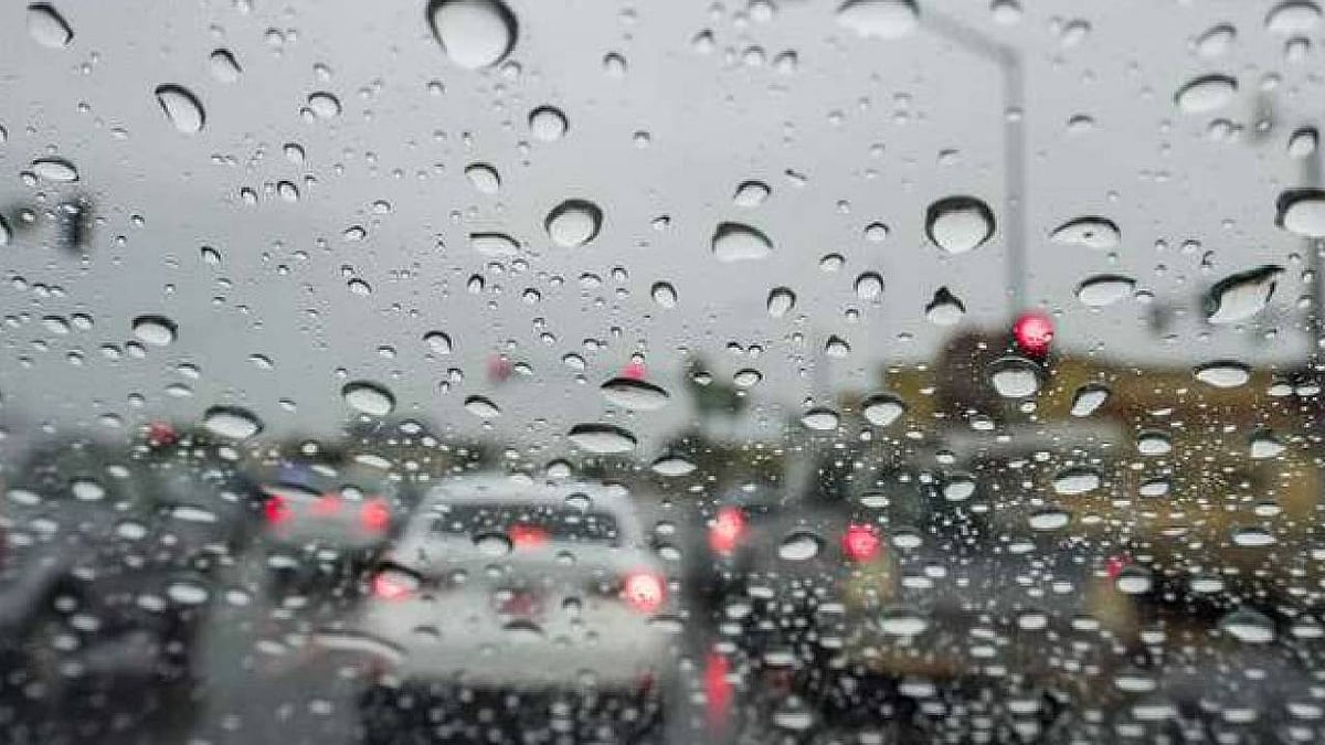 ������� �����: ���� ����� ����� ajel/2022-01/43a