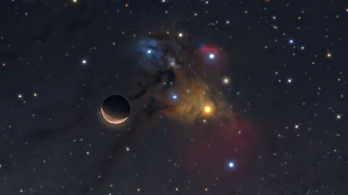 ����� ���: ������ ����� ���� ajel/2022-01/f21