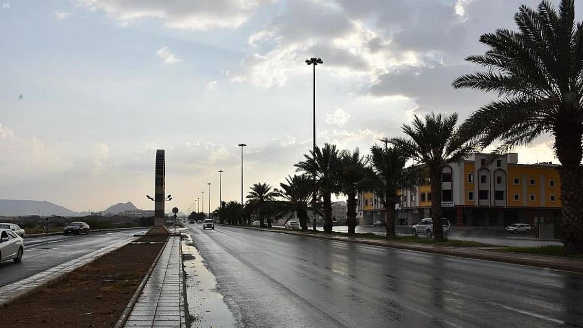 �������ϻ �����: ���� ����� ���� ajel/2022-03/497