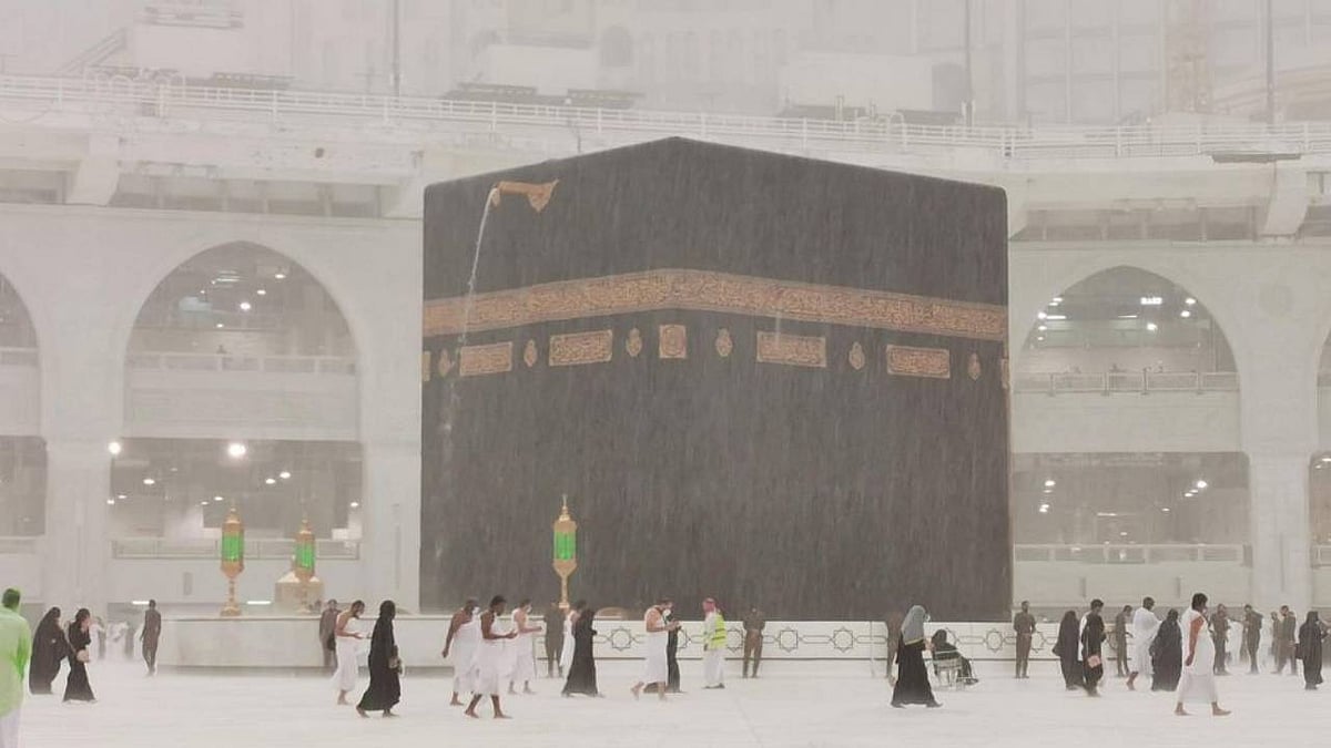 ���� ����� ����� ���� ������ ajel/2022-04/48e