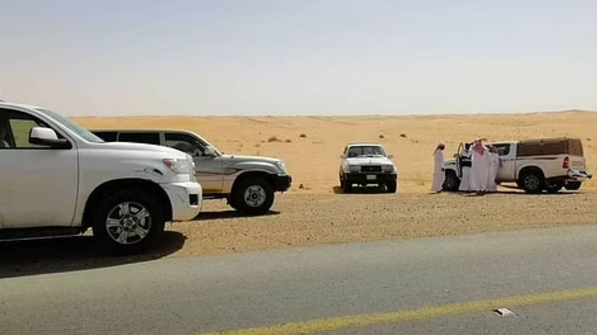 ������ ����� ������� �������.. ����� ajel/2022-05/848