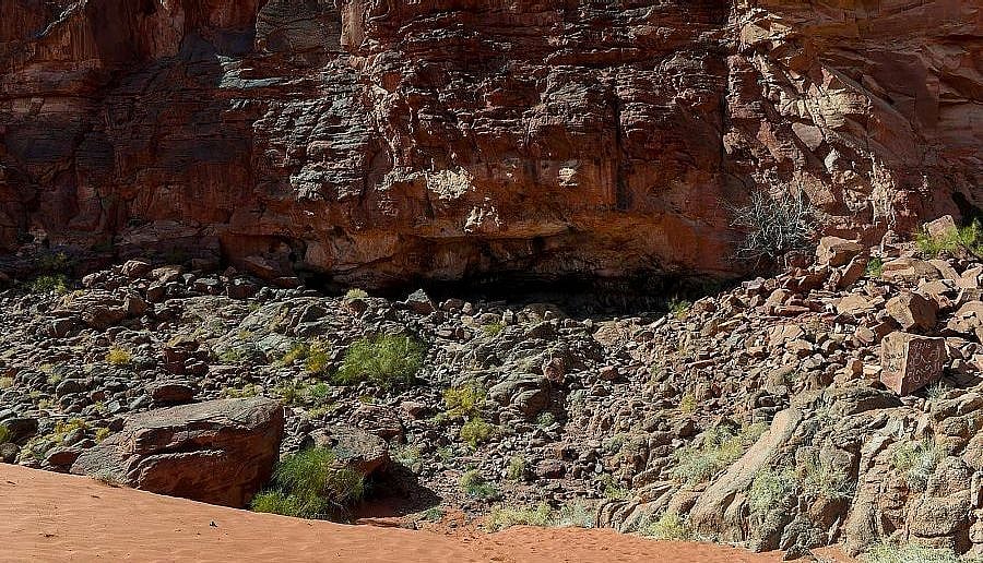 ������ �����.. ���� ������ ����� ajel/2022-05/8a0