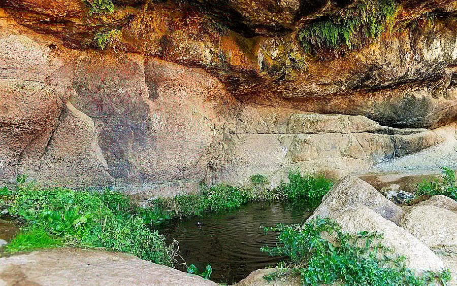 ������ �����.. ���� ������ ����� ajel/2022-05/f11