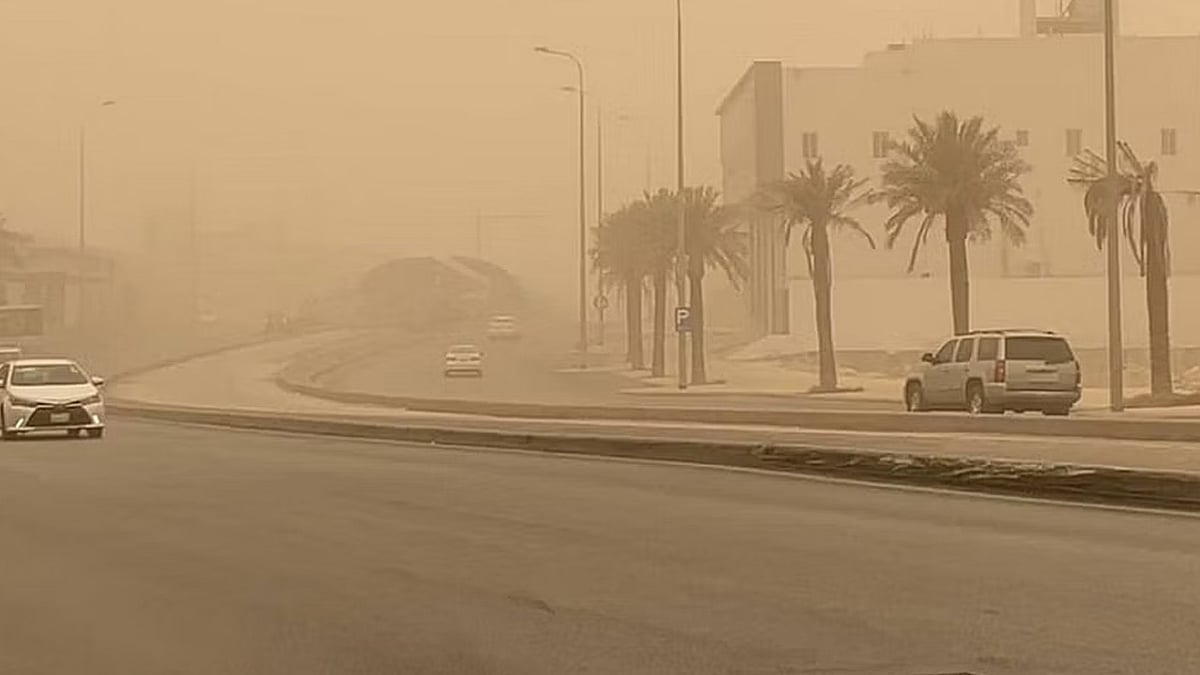 ��������.. ������ ������ ������� ������ ajel/2022-07/936