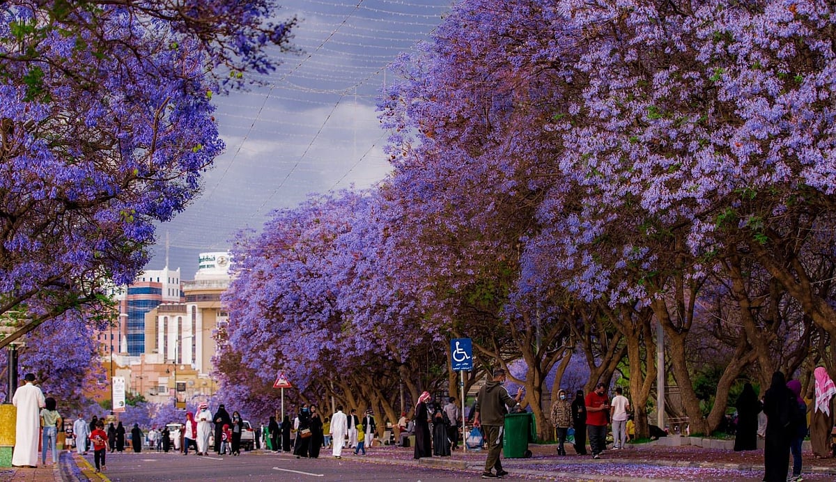 �������ϻ: ������ ����� ��39 �����.. ajel/2022-08/b5c