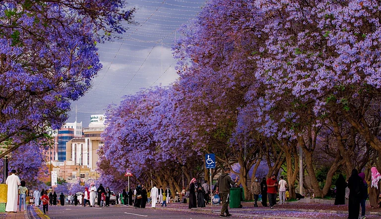 «الأرصاد»: الأعلى حرارة بـ39 مئوية.. ajel/2022-08/b5c