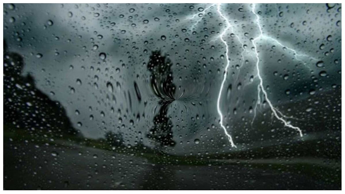 ������� ��������: ����� ����� ����� ajel/2022-09/171