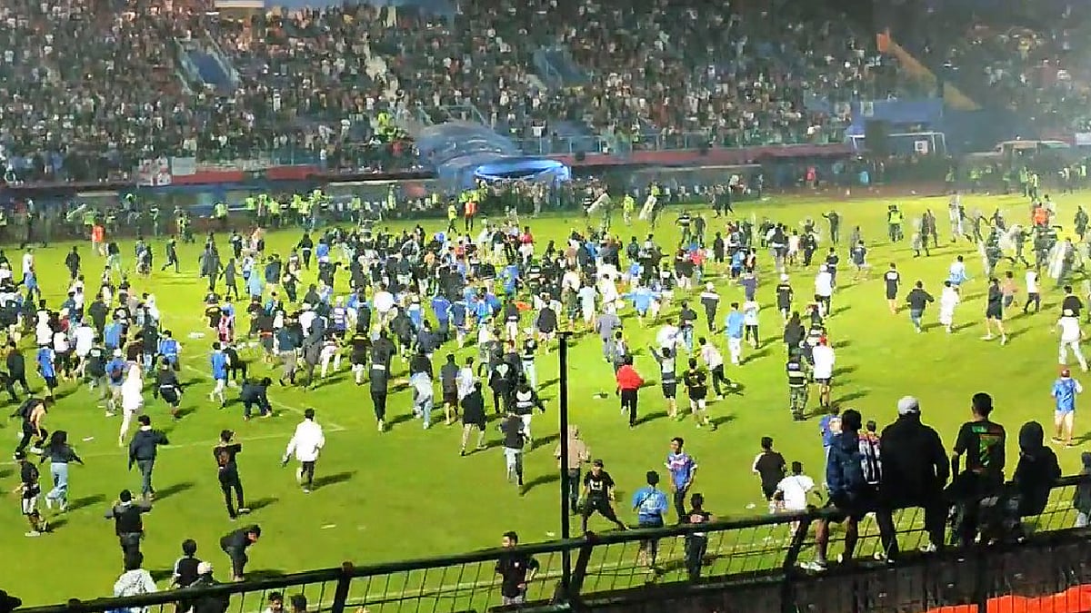 ������ ����� ������� ���� ����� ajel/2022-10/600