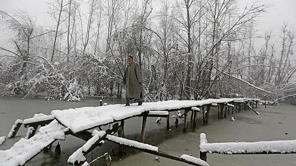 ���� ����� ���� �������� �������� ajel/2023-01/f8a