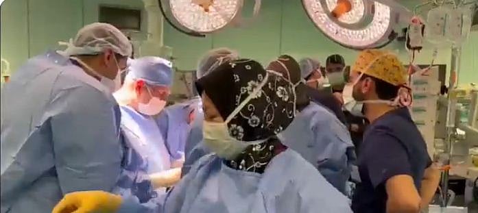 ���� ����� ������ ������� ������ ajel/2023-02/068