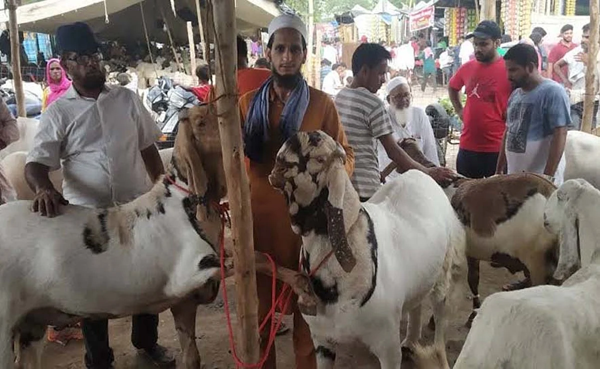 കൊറോണക്കാല വലിയ പെരുന്നാളിൽ ആടുക്കച്ചവടക്കാരുടെ ആവലാതി