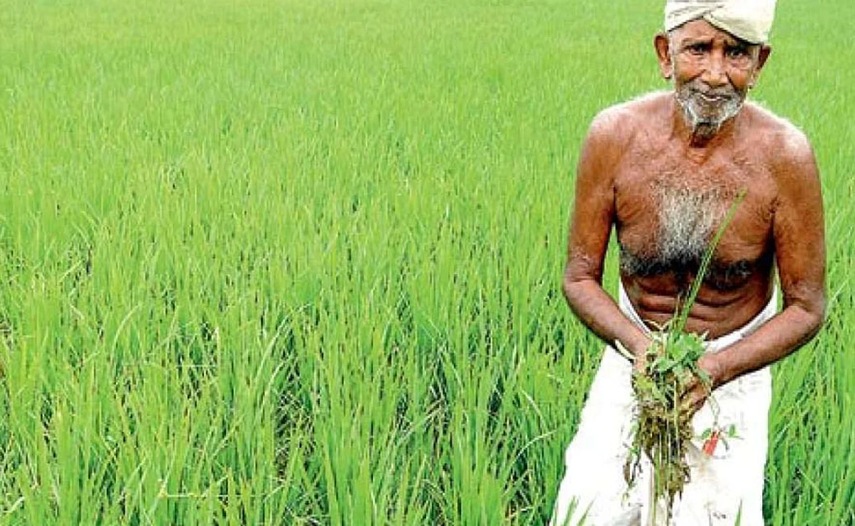 ഇന്ന് ചിങ്ങം ഒന്ന്; അതിജീവനത്തിന്റെ പുതുവർഷം