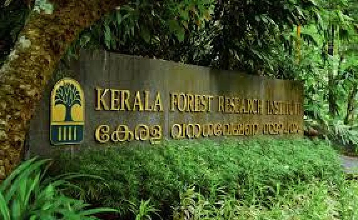 വന ഗവേഷണ സ്ഥാപനം; റിസർച്ച് ഒഴിവുകൾ