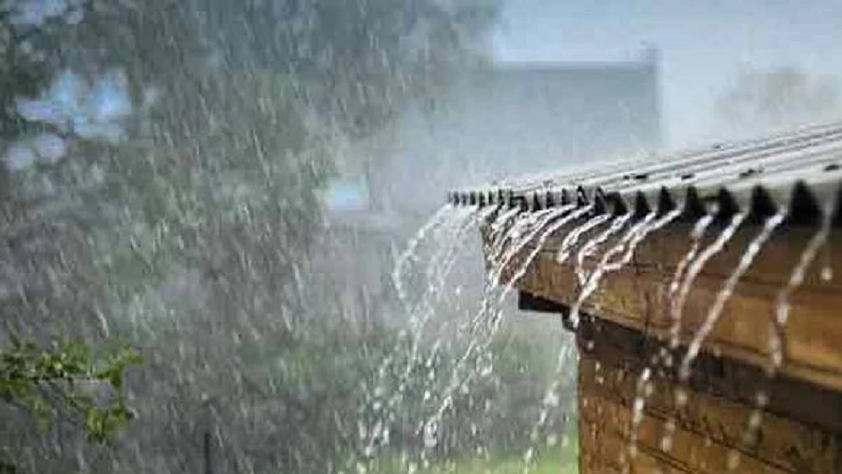 സംസ്ഥാനത്ത് മഴ കുറഞ്ഞു; നാല് ജില്ലകളില് യെല്ലോ അലേര്ട്ട്