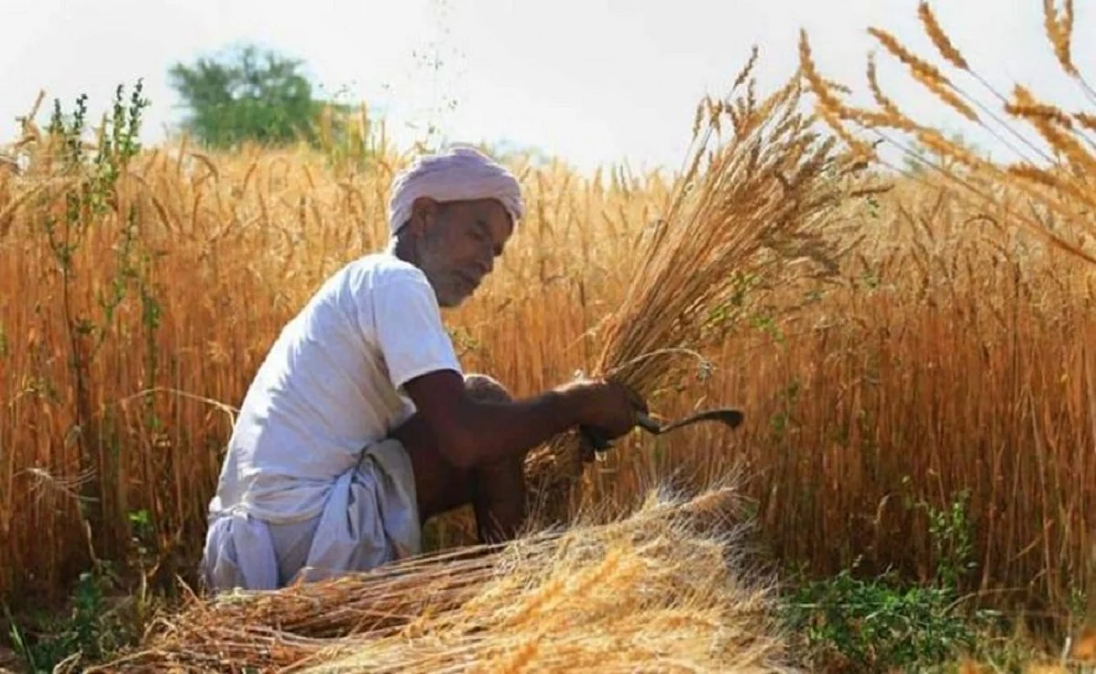കര്ഷക സമരം: റാബി വിളകള്ക്ക് താങ്ങുവില വര്ധിപ്പിച്ച് കേന്ദ്ര സര്ക്കാര്