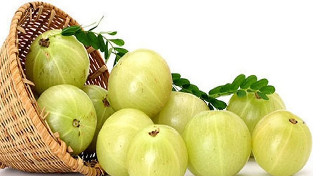 പ്രതിരോധശേഷിയ്ക്ക് നെല്ലിക്ക ഉത്തമം